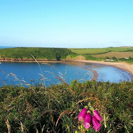 A Beach Holiday In Pembrokeshire Bagian luar foto